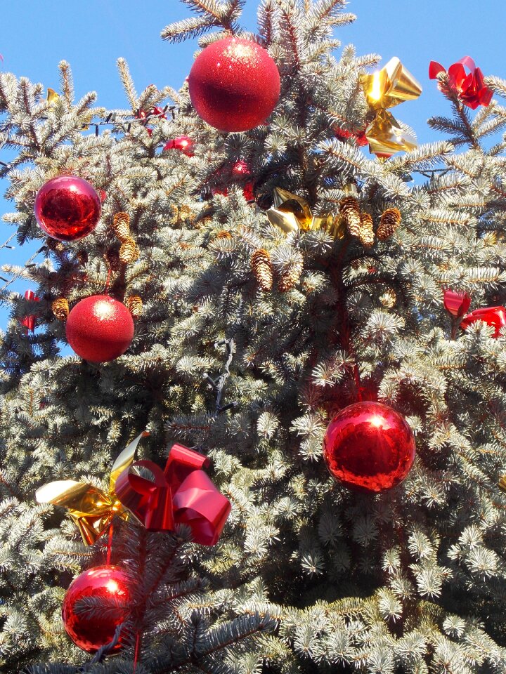 Christmas tree december christmas