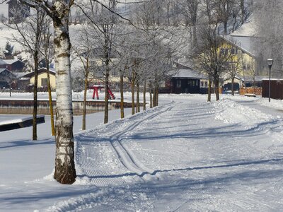 Snow cold winter photo