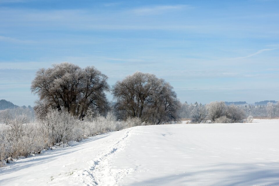 Wintry white snowy