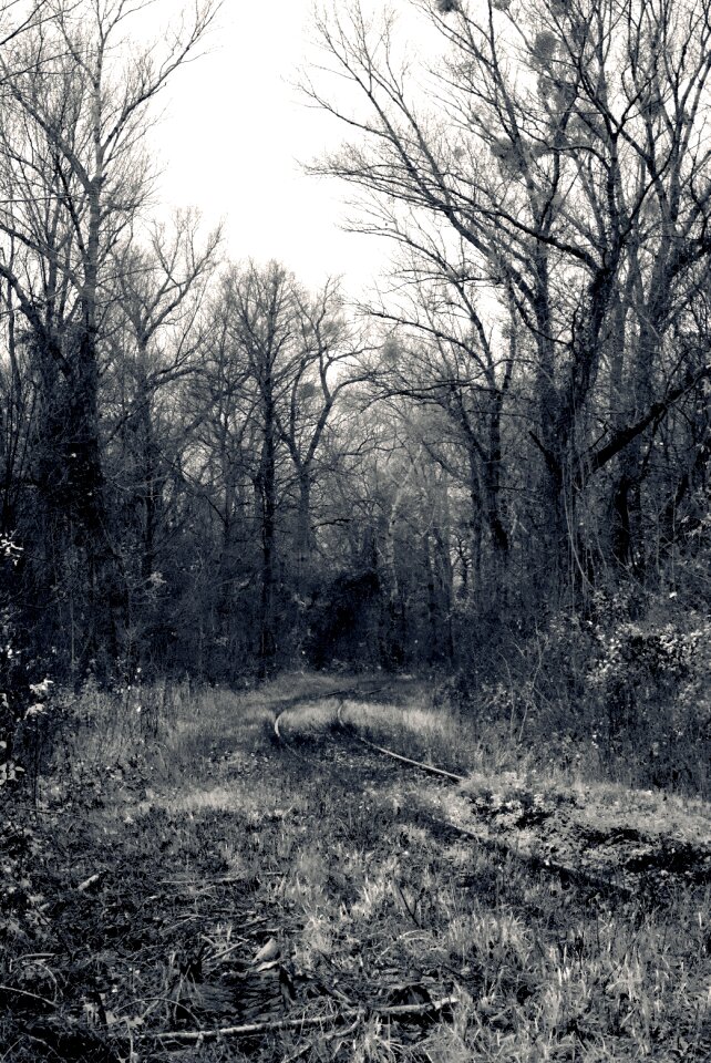 Landscape autumn rails