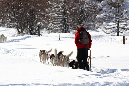 Snow nature winter