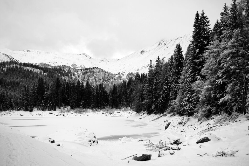Winter frozen wintry