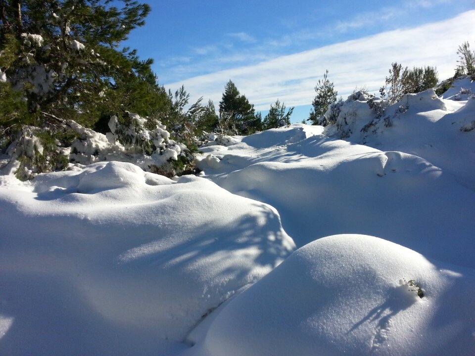 Outdoors snowed white