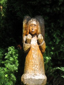 Wood craft garden