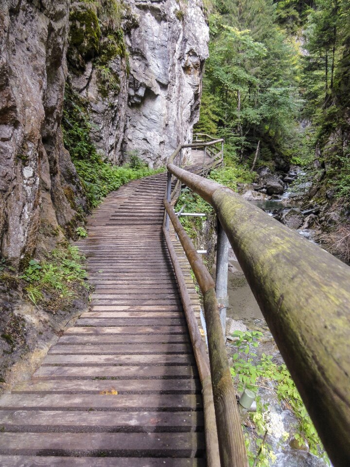 Wooden bridge nature away