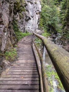 Wooden bridge nature away photo