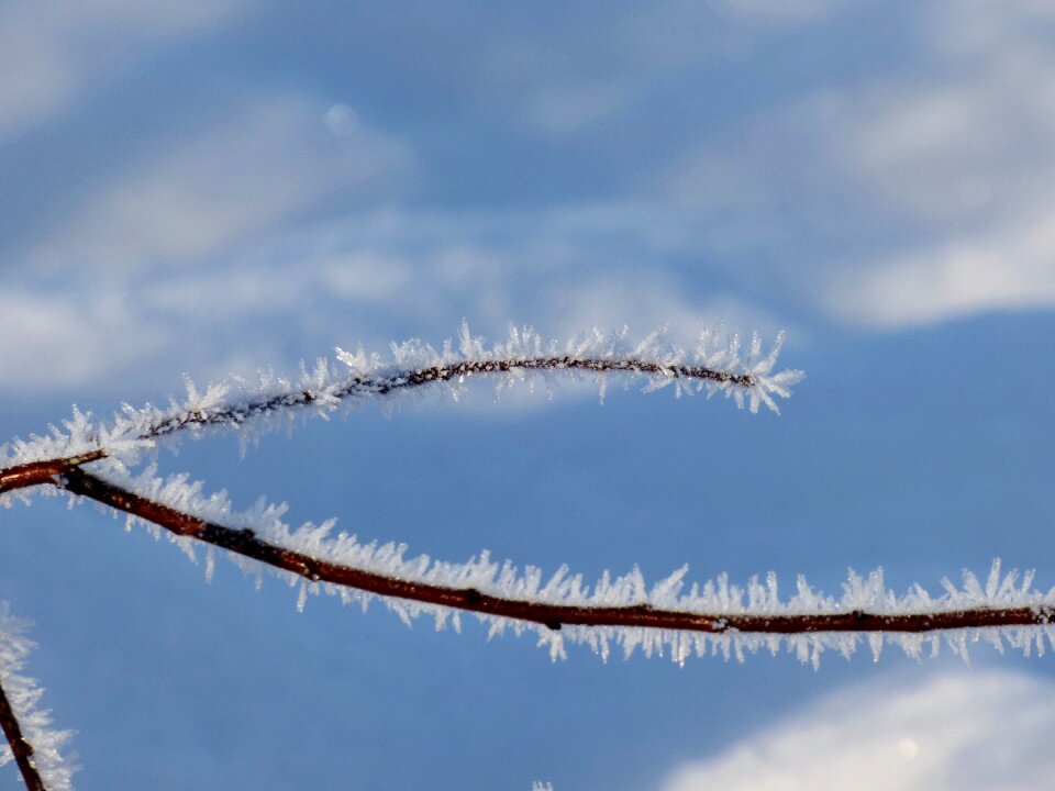 Freezing cold winter