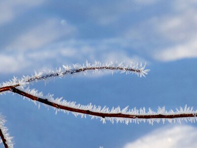 Freezing cold winter