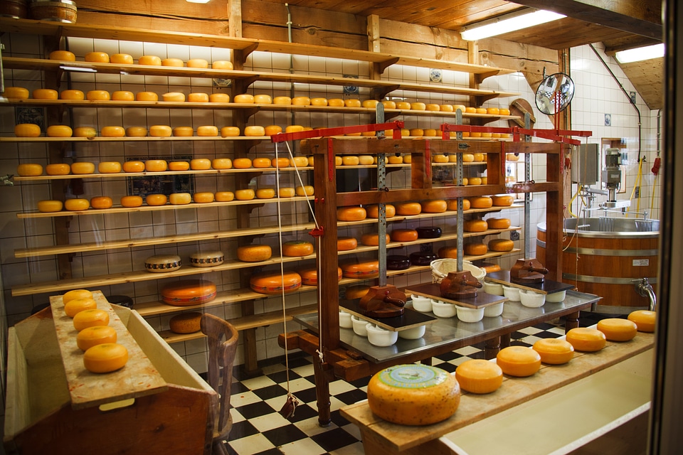 Dairy equipment factory