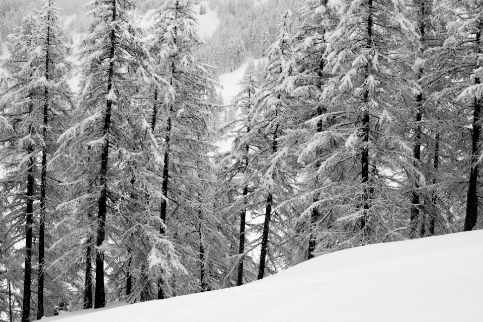 Mountain winter snowy