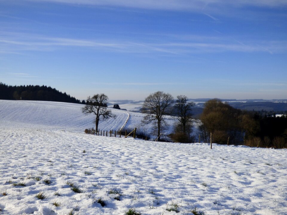 Freeze january vista