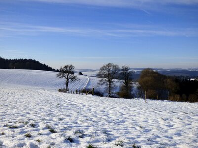 Freeze january vista