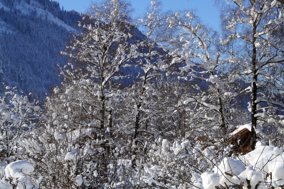 Allgäu winter winter magic