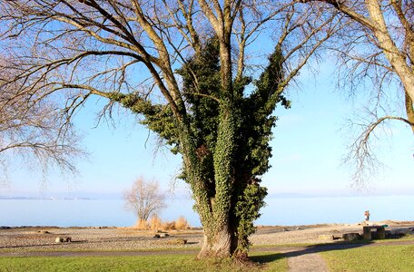 Sky lake lake constance