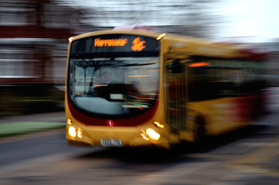 Travel business buses