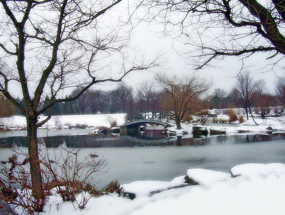 Park winter snow photo