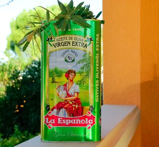 Olive oil andalusia olive trees