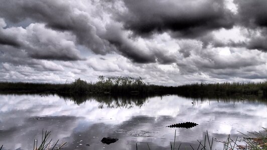 Florida everglades usa