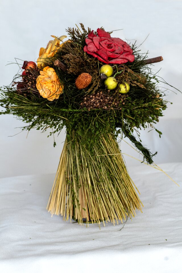 Dried schnittblume red