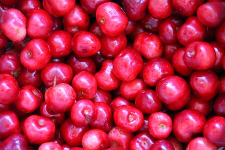 Spring fruits many