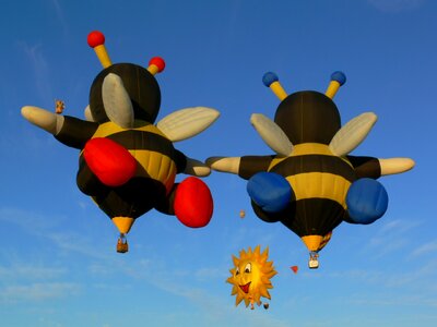 Balloon usa hot air balloon