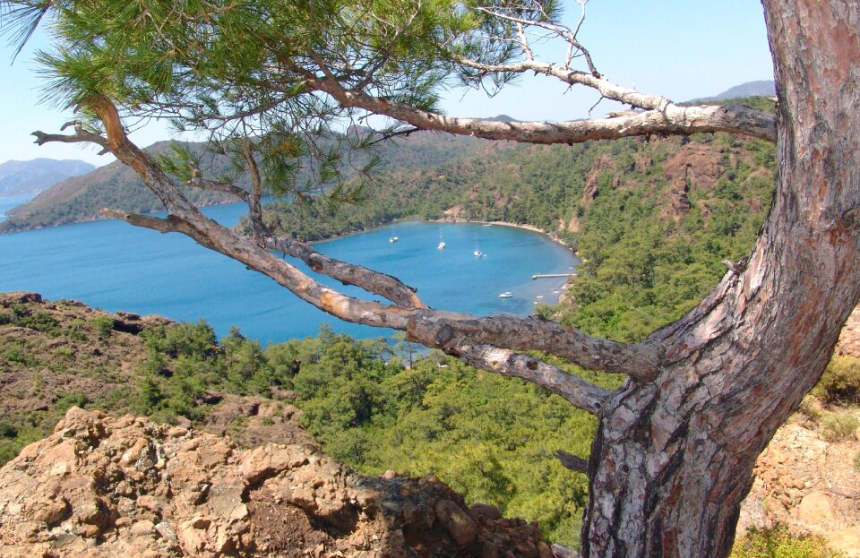 Vacations coast viewpoint