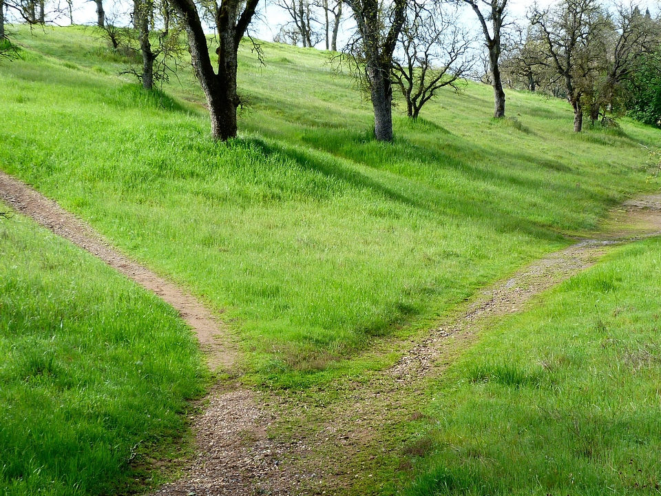 Grass travel landscape