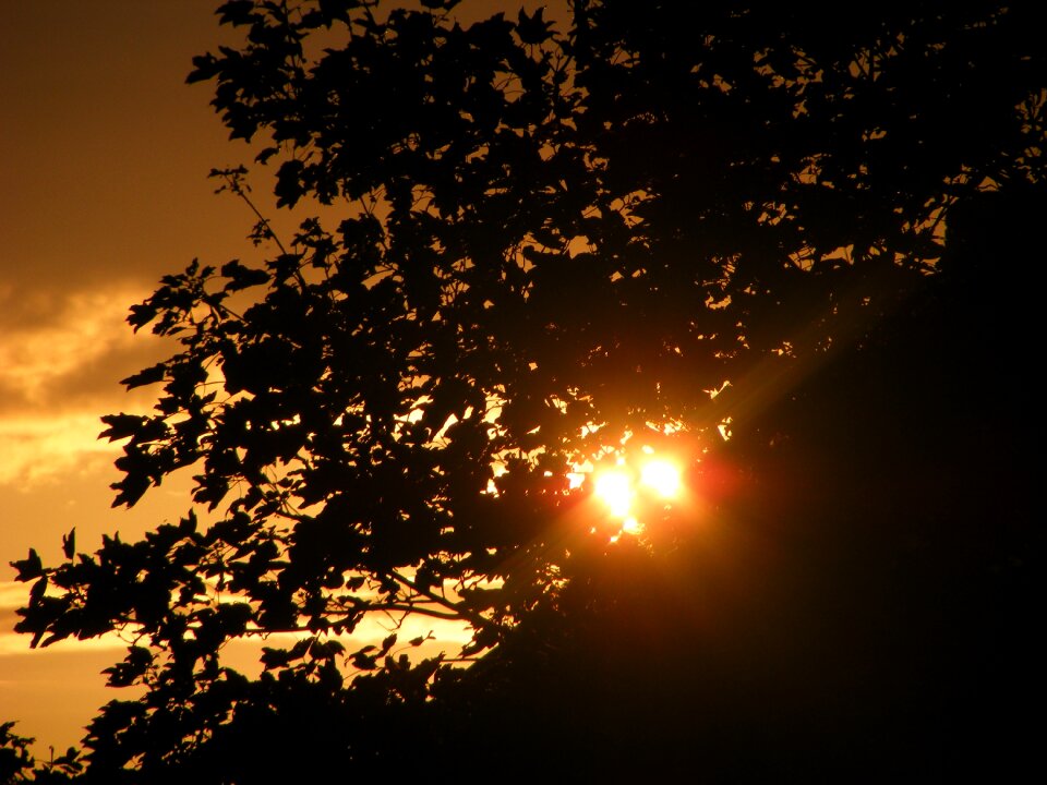 Twilight yellow autumn