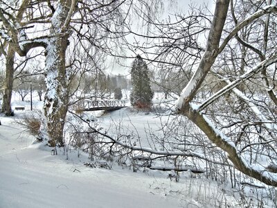Winter scenery canada