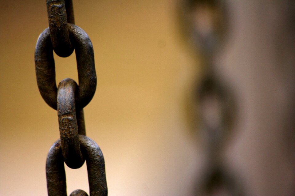Connected connectedness force