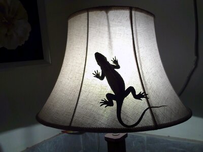 Reptilian animal