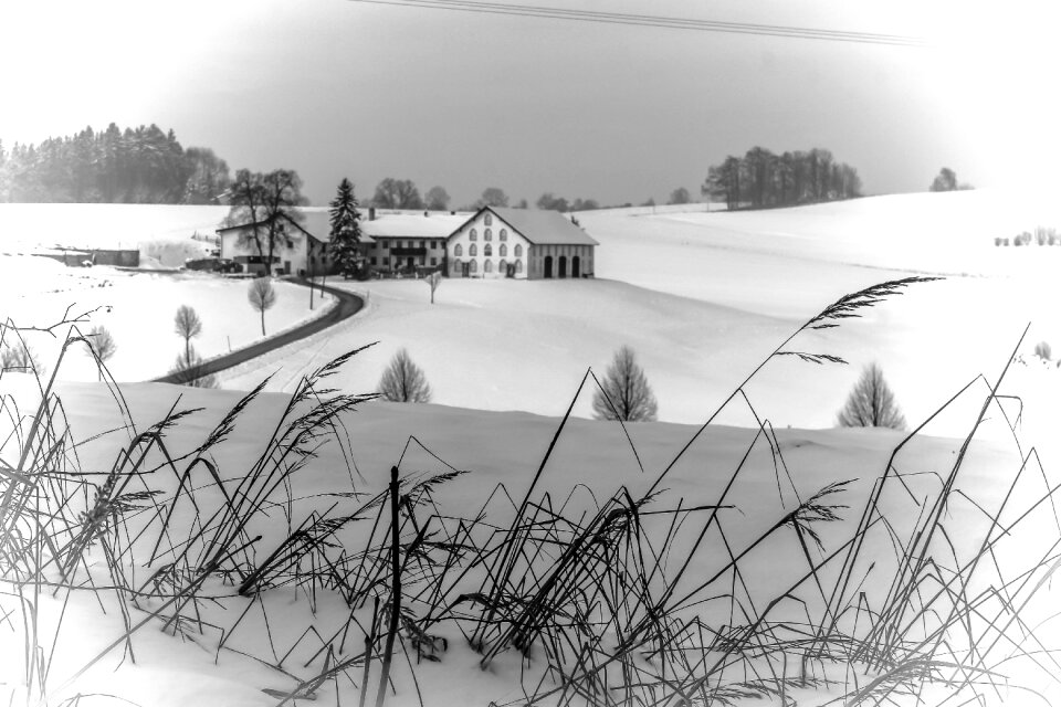 Snowy landscape farm