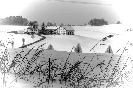 Snowy landscape farm photo