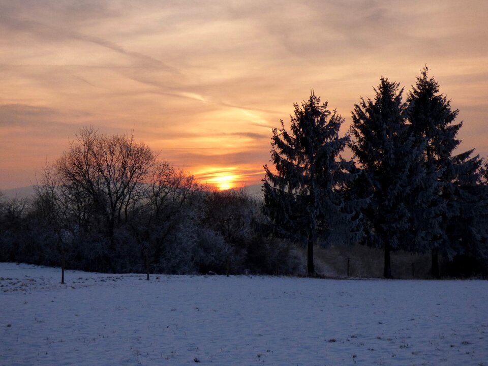 Sun white cold