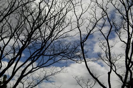 Mood silhouette