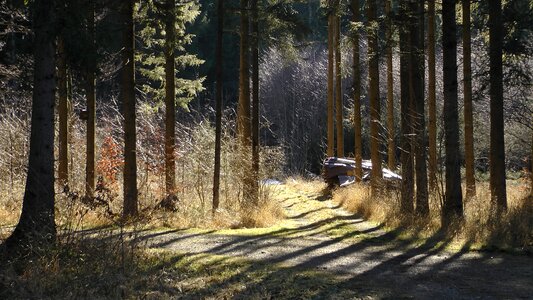 Away spring mood