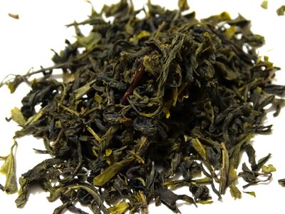 Dried green nature