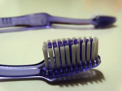 Tooth brushes bristles dental care
