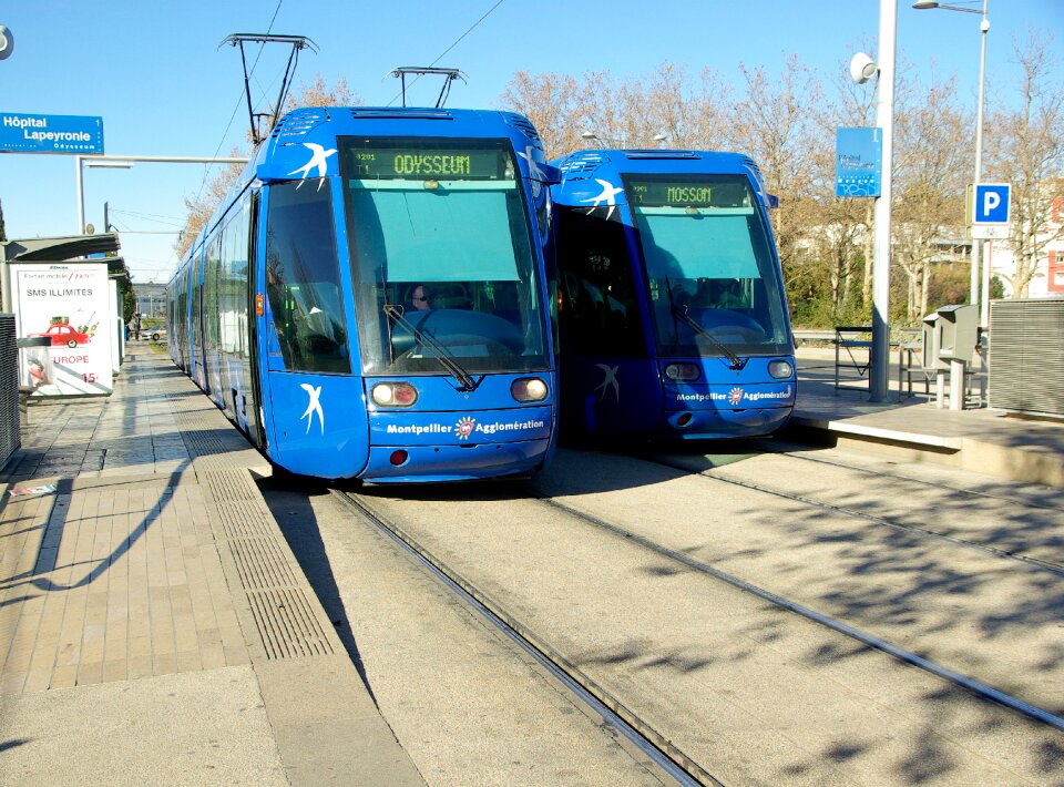 Rails cars transport