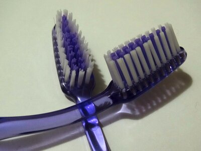 Tooth brushes bristles dental care