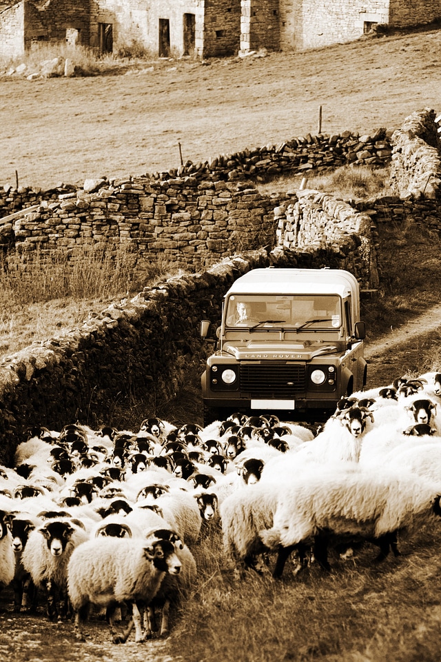 Crowd farm farmer