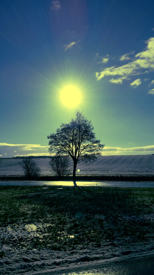 Mood backlighting nature