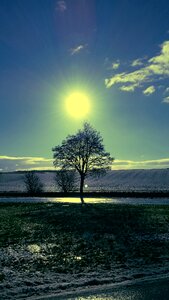 Mood backlighting nature