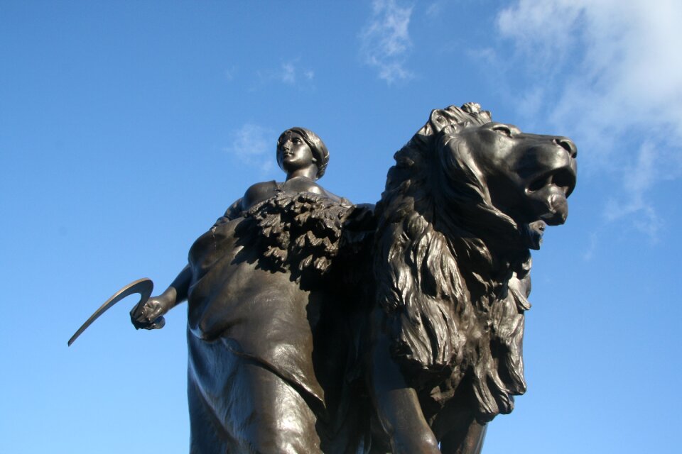 Image lion blue sky