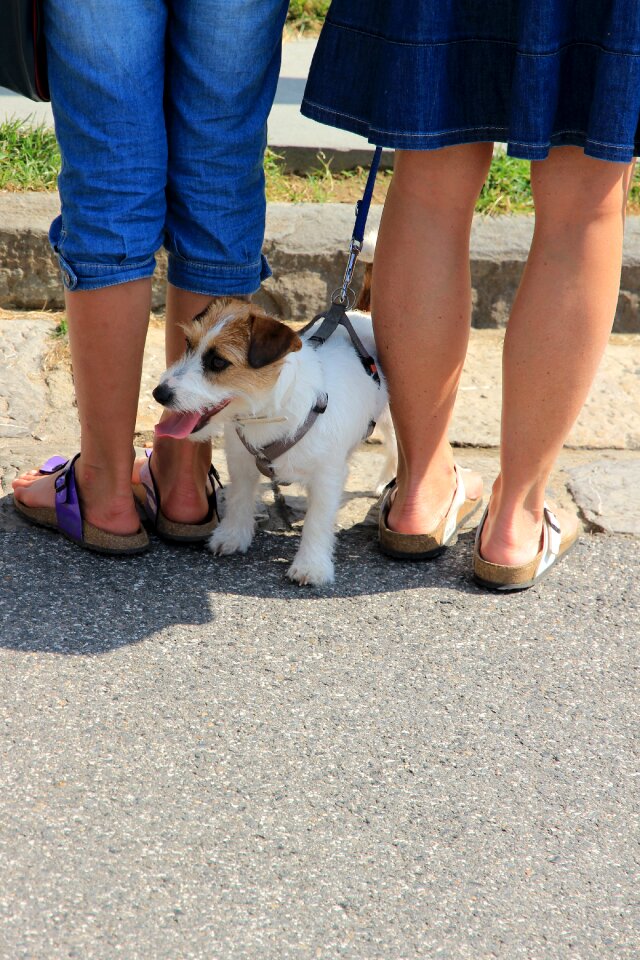 Sandals birkenstock pair