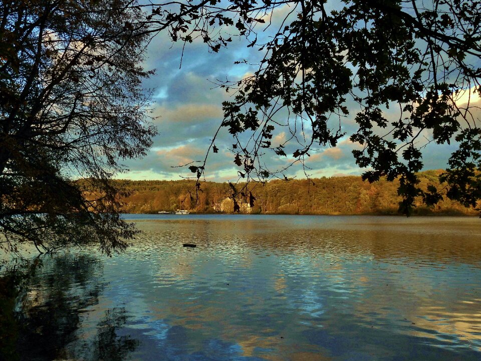 Trees atmosphere mirroring