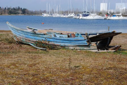 Grass beach water