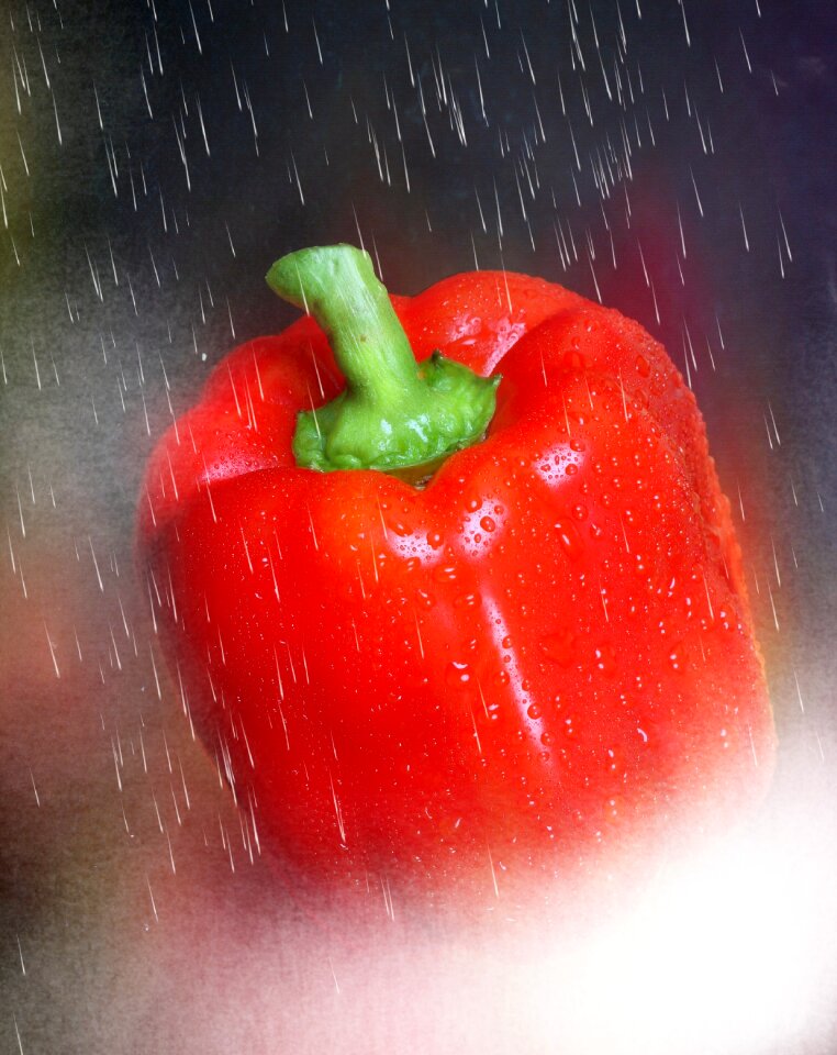 Rain food nachtschattengewächs