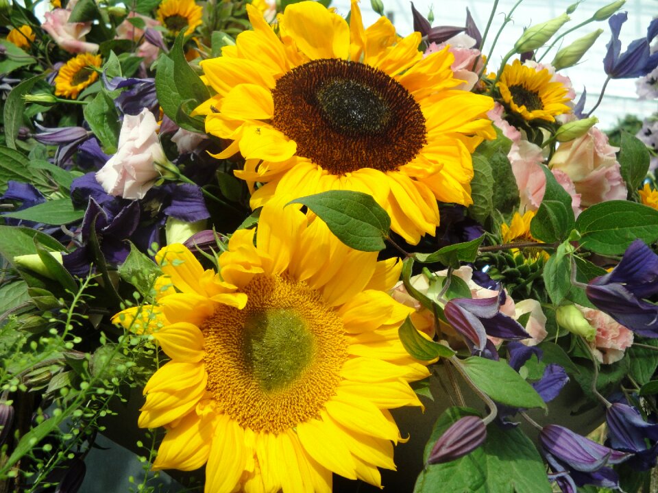 Nature flora