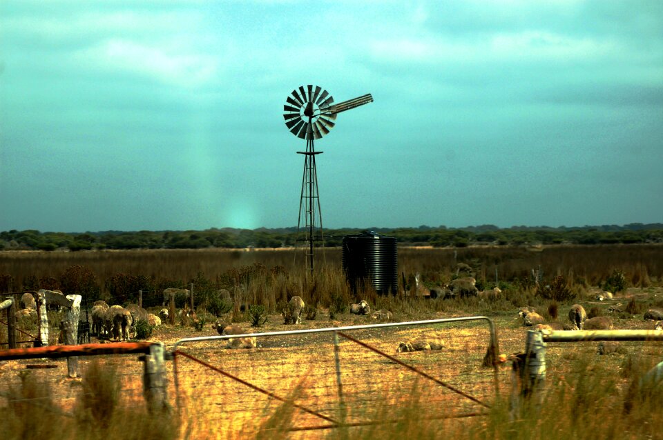 Pinwheel australia outback